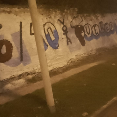 Radicales para la Victoria llaman a votar por Fuerza Patria con campaña callejera: "basta Milei con los más débiles"