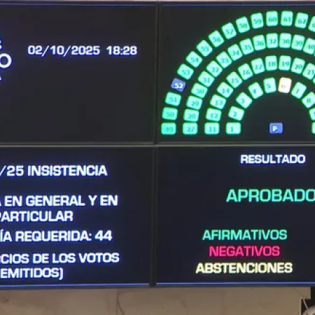 Nuevo revés legislativo para el Gobierno: el Senado rechazó los vetos de Milei a la Ley Garrahan y al Financiamiento Universitario
