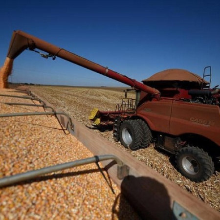 Brasil prevé expansión agrícola para la cosecha 2025-2026