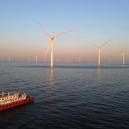 Inacción climática cobra millones de vidas cada año, alerta OMS