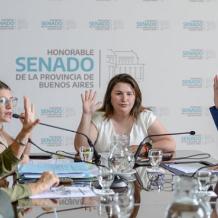 Senado bonaerense: la Comisión de Derechos Humanos concluyó su ciclo con iniciativas de memoria y garantías