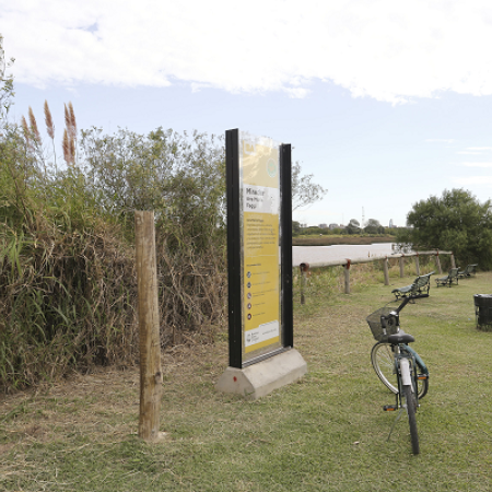 Ciudades en red: Buenos Aires comparte estrategias de adaptación climática en el Subgrupo de Resiliencia de G-NETS