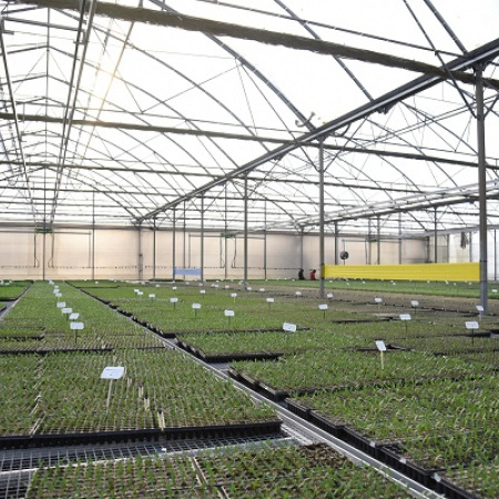 La Plata publica el primer relevamiento florihortícola en 20 años: el cordón verde en cifras