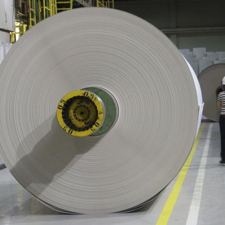 Enorme mercado chino permite explorar modelos de producción sostenible a gigante papelero brasileño
