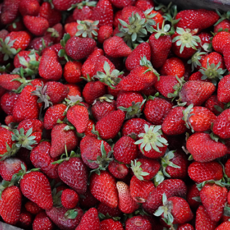 Ofertas en carnes, lácteos y frutas: el Mercado Bonaerense Fijo La Plata actualizó su lista de precios
