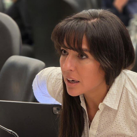 En Diputados, la UCR tendrá una expresión testimonial: seis legisladores