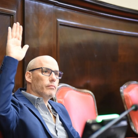 El platense Leguizamón fue el senador que más proyectos presentó en 2025