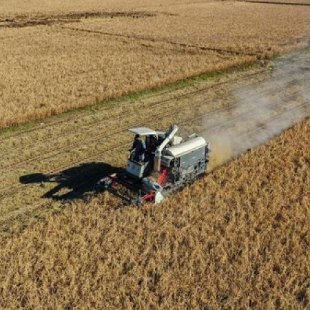 Producción de cereales de China supera 714 millones de toneladas en 2025