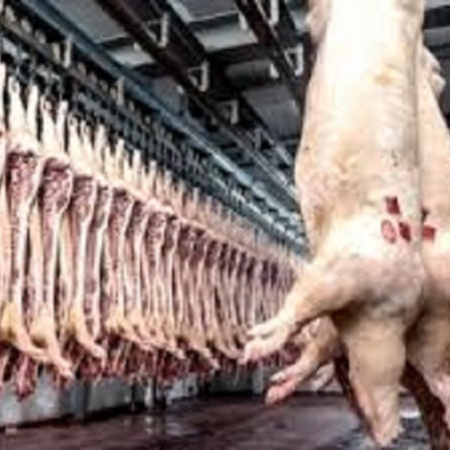 Carne con subas en noviembre y ventas en caída en el tercer trimestre: la economía platense en crisis