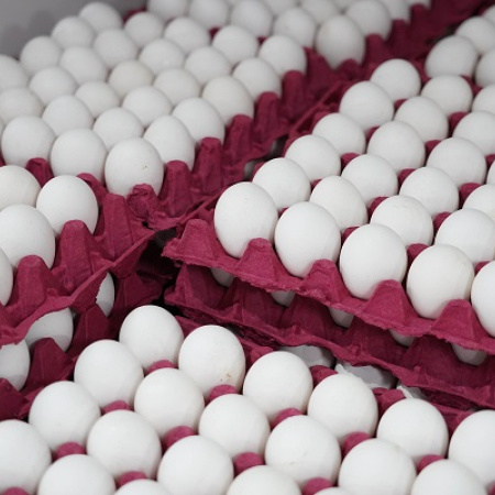 El Mercado Bonaerense Fijo La Plata presenta combos, ofertas y promocione