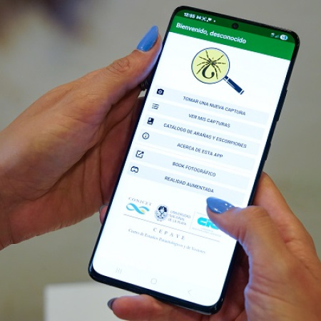 Alacranes en La Plata: recomendaciones para evitar accidentes