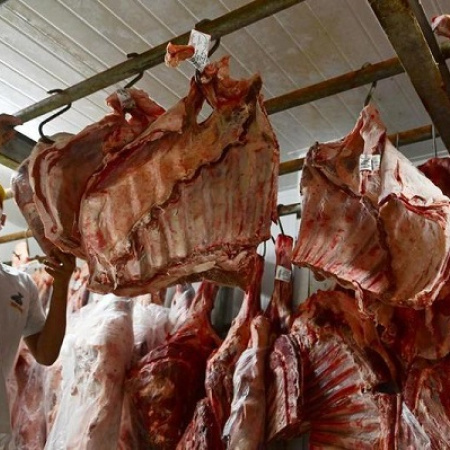 Brasil bate récord en exportaciones de carne bovina
