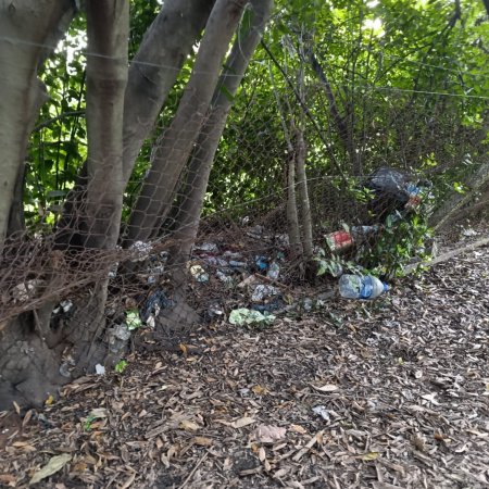 En pocas semanas, los reclamos vecinales en La Plata Reporta superaron los 2500