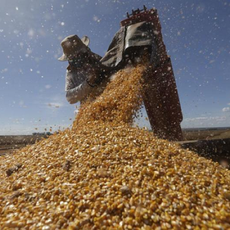 Brasil lanza crédito por unos 2.000 millones de dólares para impulso agrícola