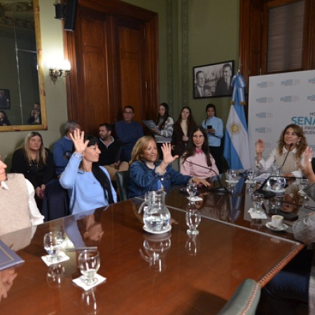 El Senado bonaerense constituyó la comisión de Igualdad Real de Trato y Oportunidades