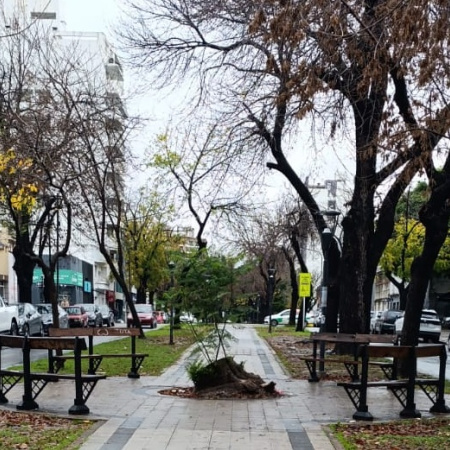 Nivel de alerta 'amarillo' por lluvias en La Plata