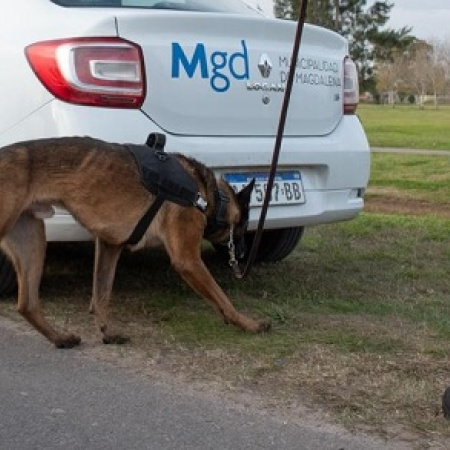 Magdalena realizará el 2° Encuentro Regional de Seguridad Vial en el Parque del Lago