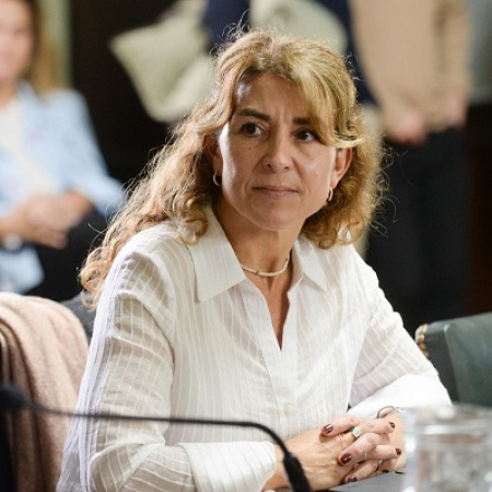 Colapso y desamparo: senadoraQuintana denunció el fracaso del nuevo sistema de transporte para personas con discapacidad
