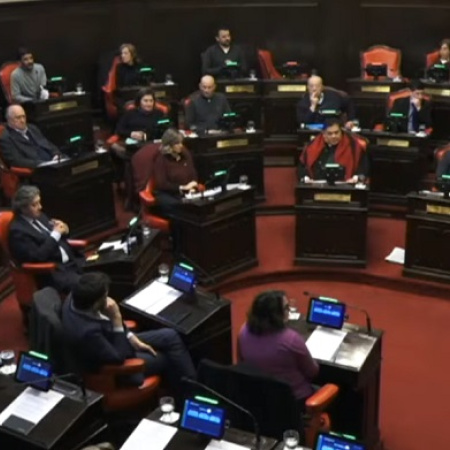 Emergencia sanitaria: Ishii acusó a Kicillof y abrió una interna en el Senado